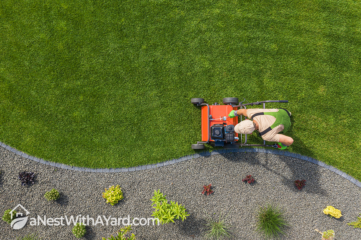 How To Take Care Of Lawn Like A Pro - 10 Easy Tips
