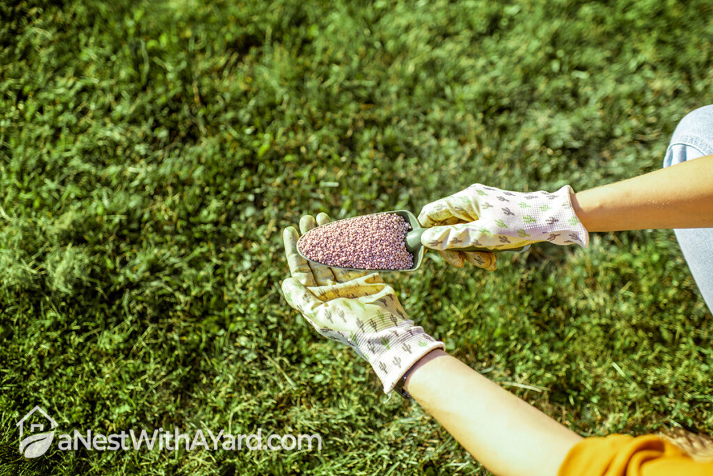 How To Winterize Lawn To Make It Stronger - A 7-Step Guide