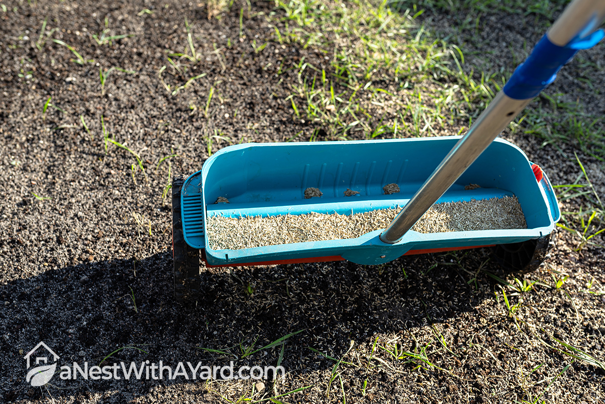 The Best Winter Grass Seed For Your Lawn