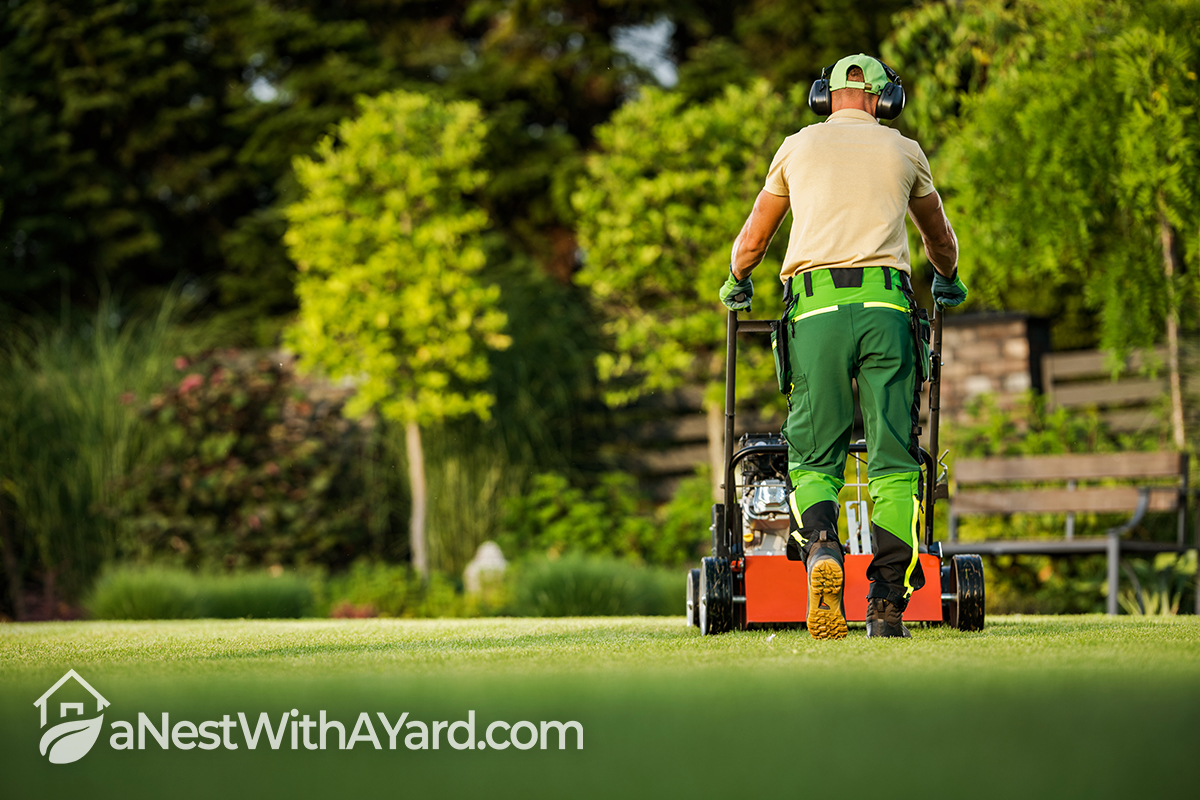 The Best Annual Lawn Care Schedule