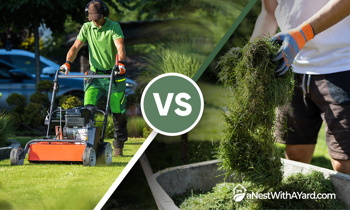 Professional Lawn Care Vs Do It Yourself - Which Is Better?