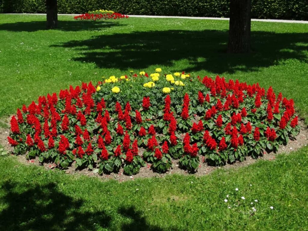 Gorgeous flower bed