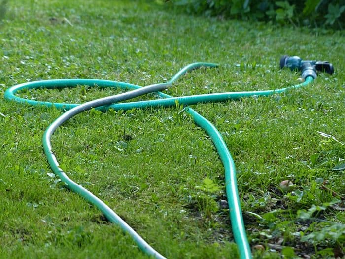 Garden hose laying on the grass