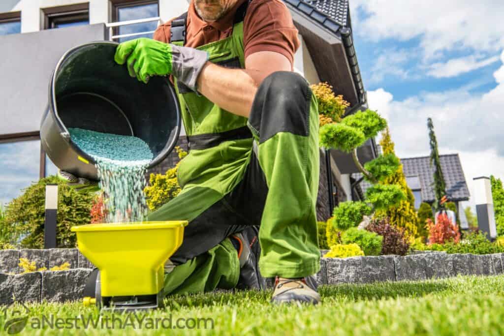 Wondering When’s The Best Time To Fertilize Lawn? Here’s What You Need To Know!