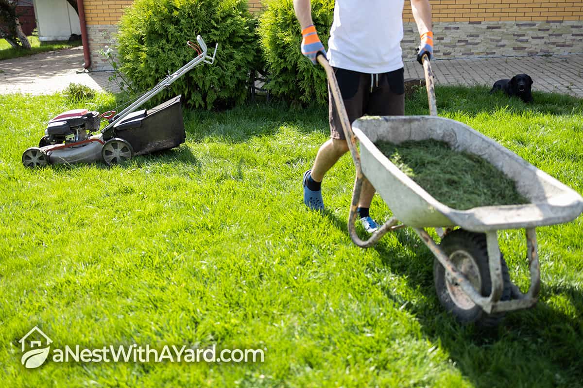 How To Collect Grass Clippings After Mowing In 2023