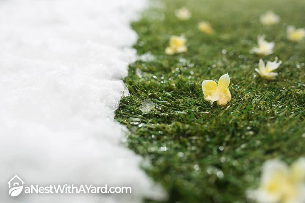 Wondering How To Keep Grass Green In Winter? Here’s What You Need To Know!