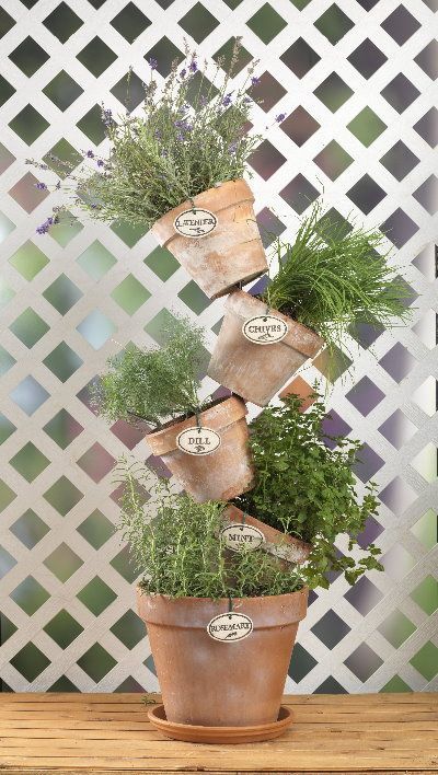 herbs planted in pots arranged together in a vertical fashion  #indoorHerbGarden #indoorGardenIdeas #indoorgardendesigns #indoorgardenapartment #apartmentindoorgarden #apartmentgardening