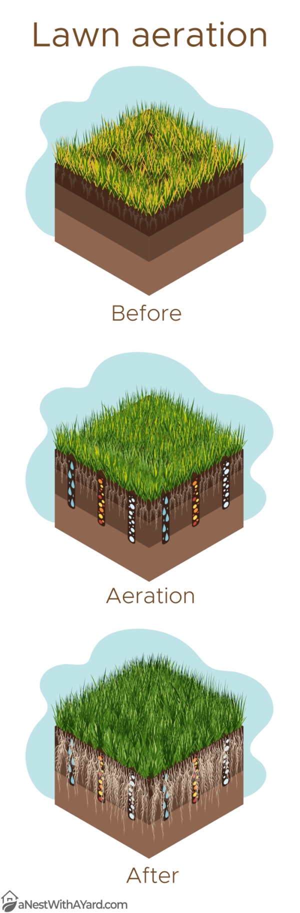 Infographic depicting lawn aeration