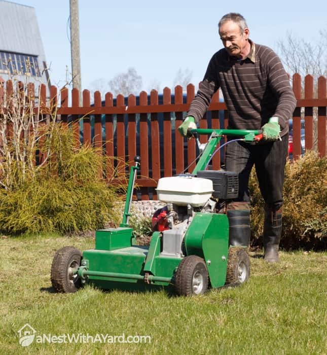A man aerating the lawn