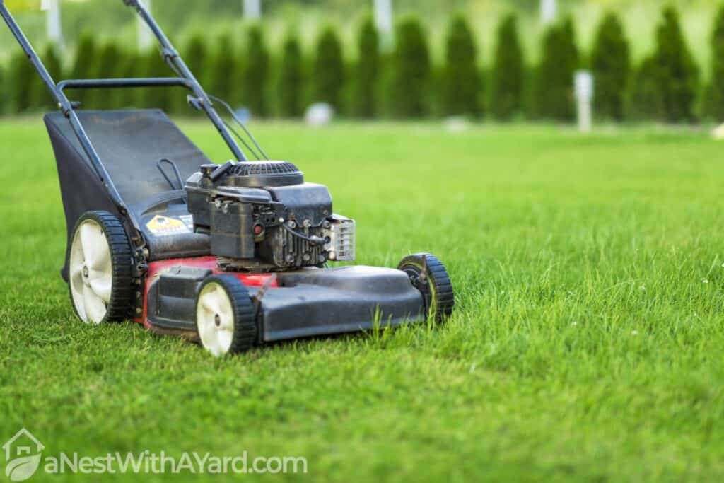 Lawn mower on green grass