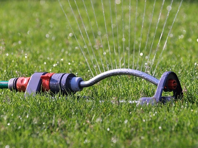 Water coming out of a sprinkler