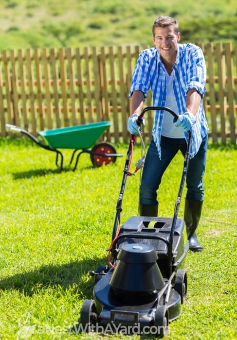 Man mowing the lawn grass in the sunshine