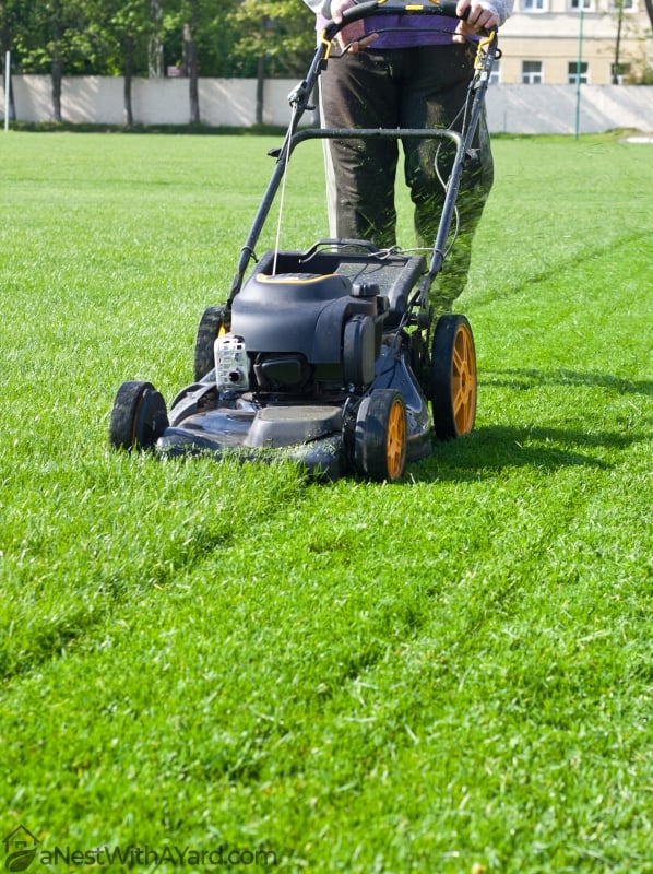 Man using lawn mower on a green grass yard