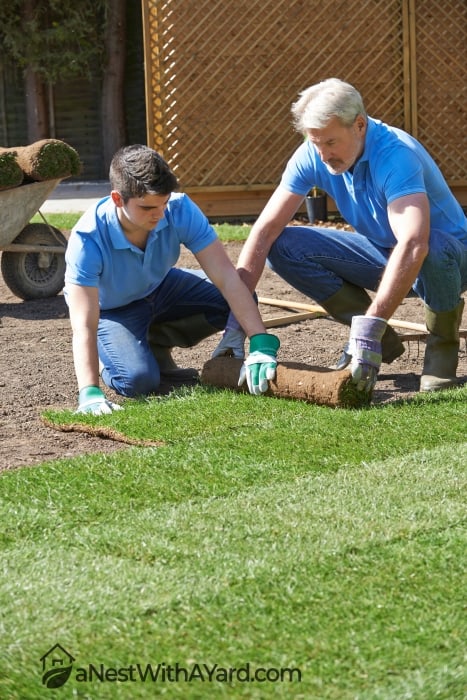A man and a boy laying new patches of grass