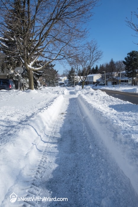 path cleaned from snow with snowblower