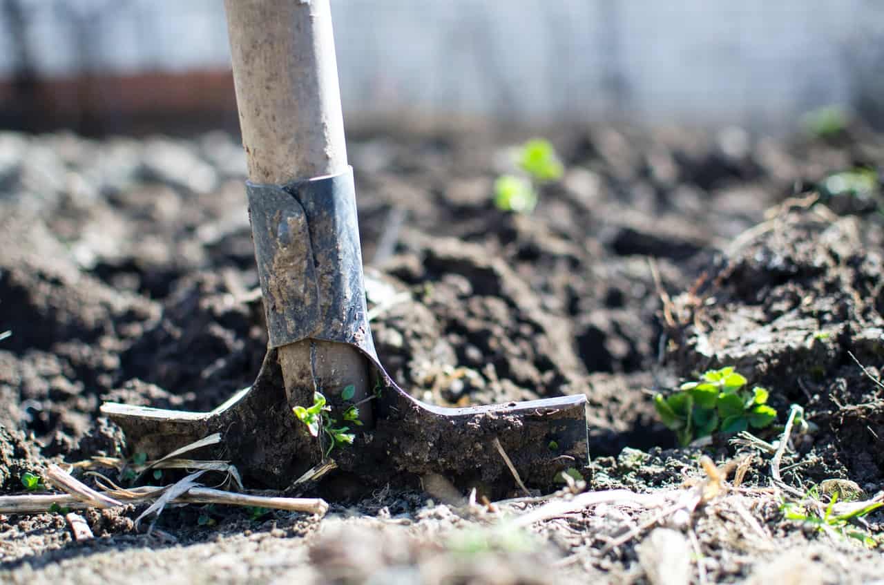 Got mud in your yard? Check out these 9 affordable ideas about how to cover up mud and dirt in backyard #backyard #landscaping #landscapeIdeas #backyardIdeas