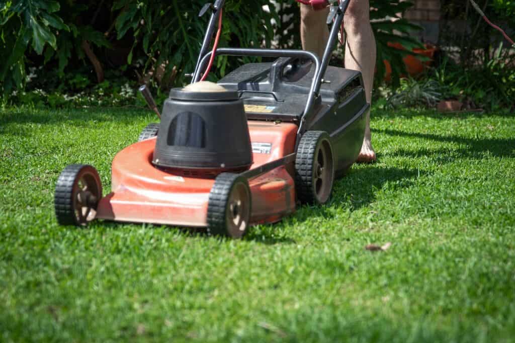Lawnmower being used to trim the backyard lawn