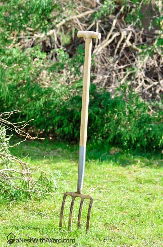 Garden fork mounted on the lawn