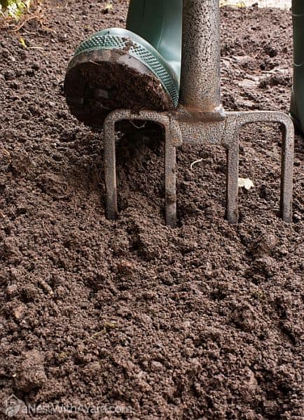 Aerating soil with a garden fork