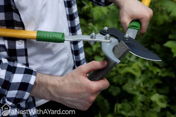 Sharpening a garden shear with a whetstone