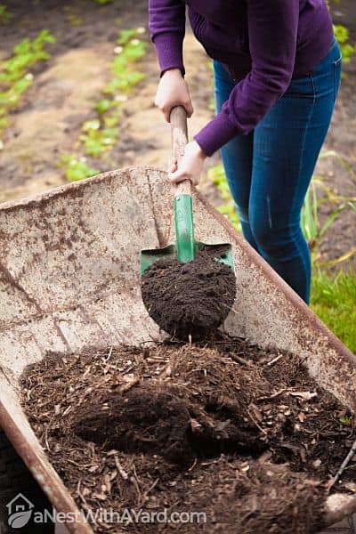 Piling up compost into a garden trolley