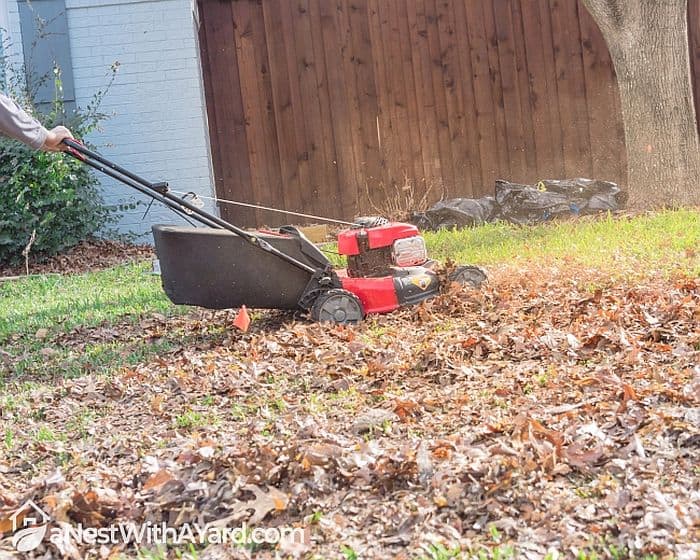 Self-propelled lawn mower running over dry leaves
