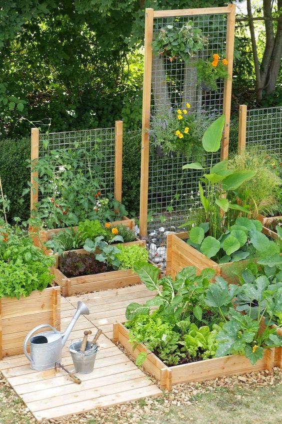 Vegetable garden layout for small spaces  #smallGarden #SmallGardenDesign #smallyardlandscaping #gardenIdeas #backyardLandscaping #backyardLandscapingIdeas #landscaping