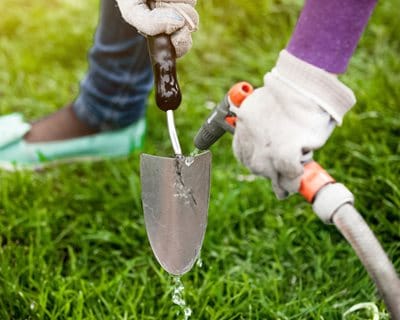 cleaning gardening tools