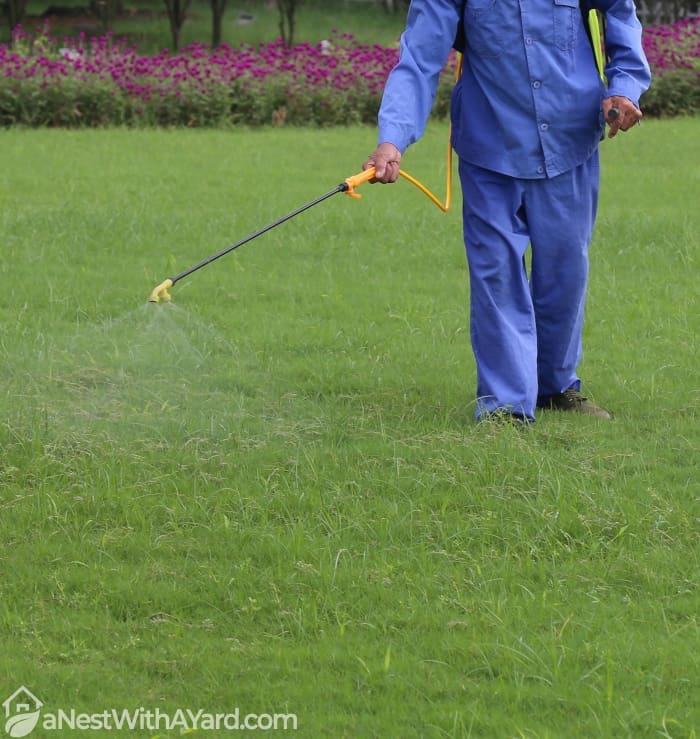 A gardener watering the lawn with a portable sprinkler